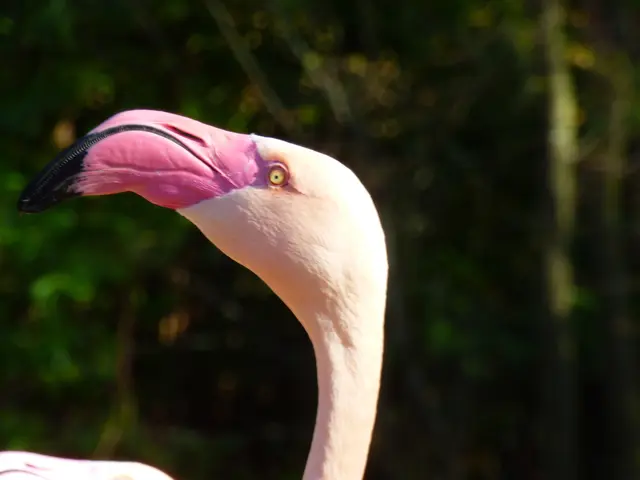 Darf ich euch zu einem Rundgang einladen