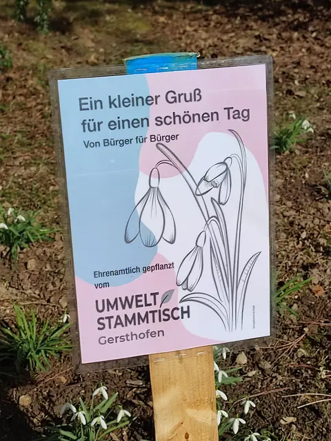 Pflanzaktion von Mitgliedern des Umweltstammtisch Gersthofen | Foto: Foto Claudia Wegele