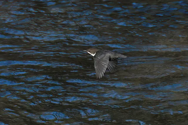 Foto: Copyright Andreas Schäfer