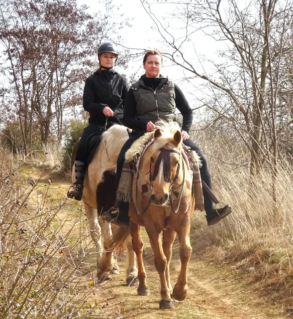 Bornholzwegsiedlung - Weg