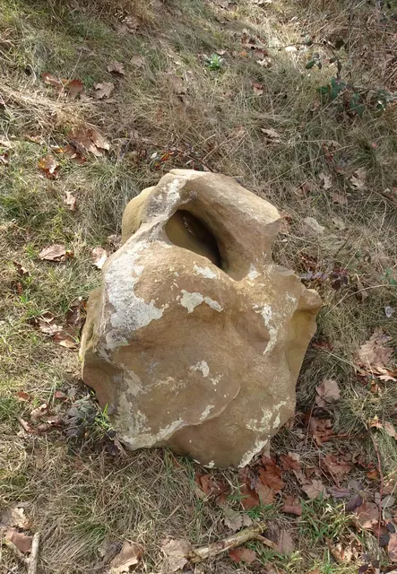der Ohrenstein am Gesichtsstein