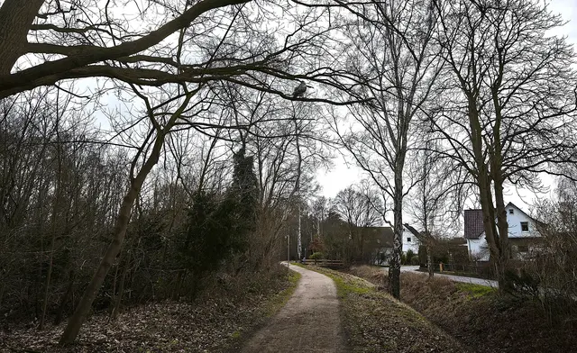 Weg zwischen Silberseesiedlung und Truppenübungsgelände: Hier hat sich ein Bussard niedergelassen. | Foto: Shima Mahi