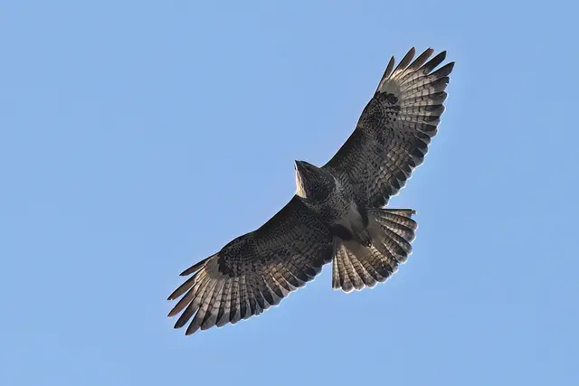 Foto: Copyright Andreas Schäfer