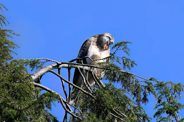 Foto: Copyright Andreas Schäfer