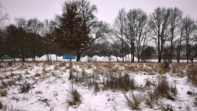 Eisberge im Park: Es sind einfach nur von Bauarbeiten übrig gebliebene Sandhügel, die mit Schnee bedeckt sind. | Foto: Shima Mahi