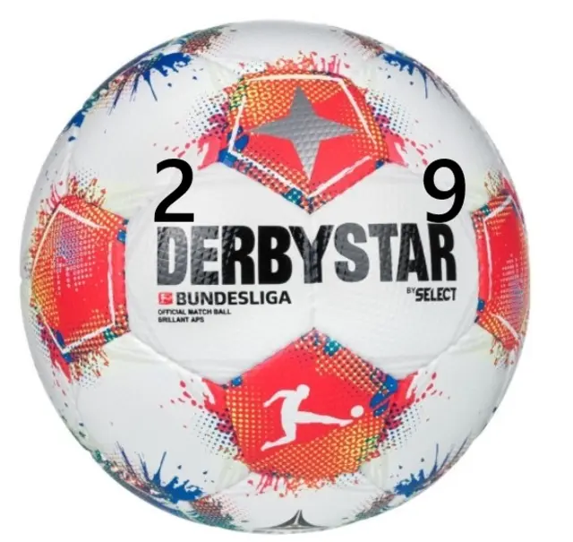 29. Spieltag der Bundesligasaison 2025/26.