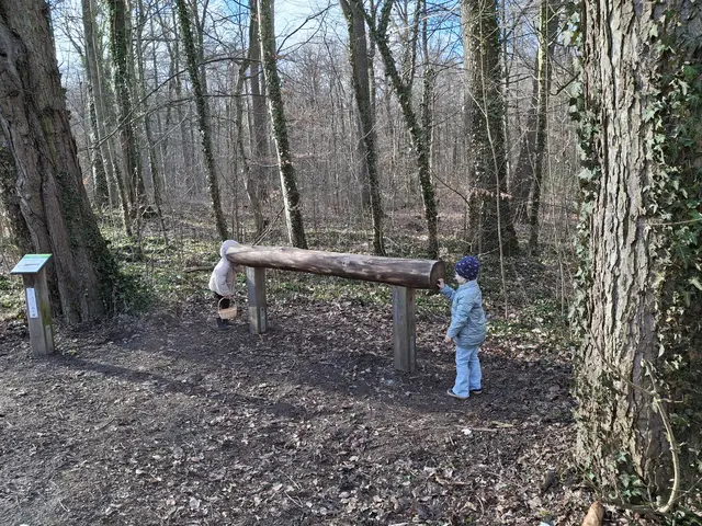 Das Baumtelefon der Osterhasen die Kinder testen es funktioniert | Foto: Winfried Gehrke