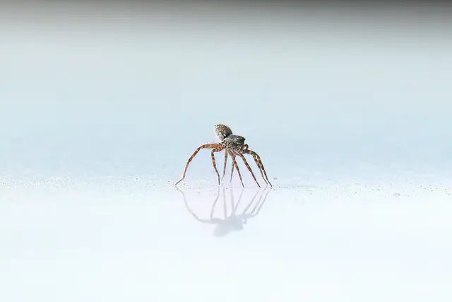 Foto: Copyright Andreas Schäfer