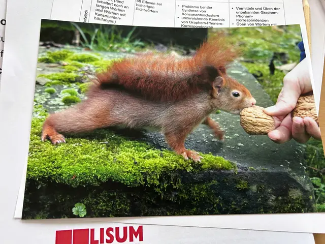 Beispiel: Die Kraft eines Bildes 