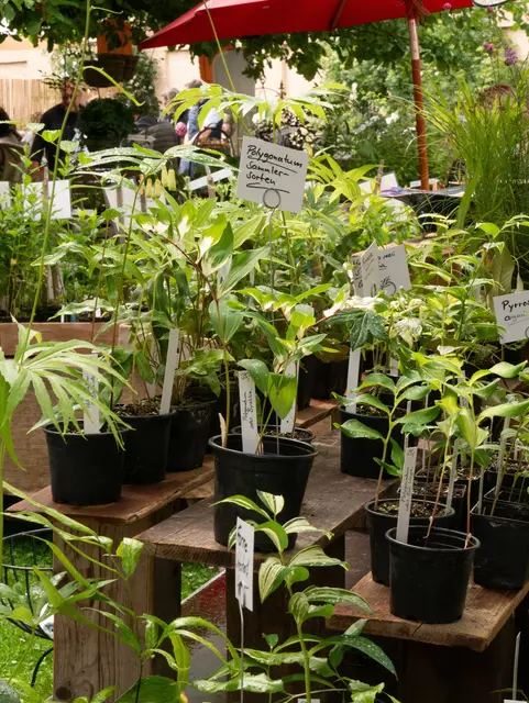 Foto: Lohde Veranstaltungs-GmbH