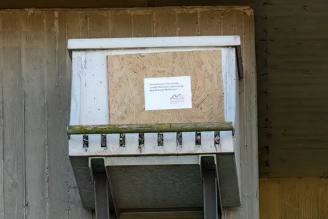 Foto: Copyright Andreas Schäfer