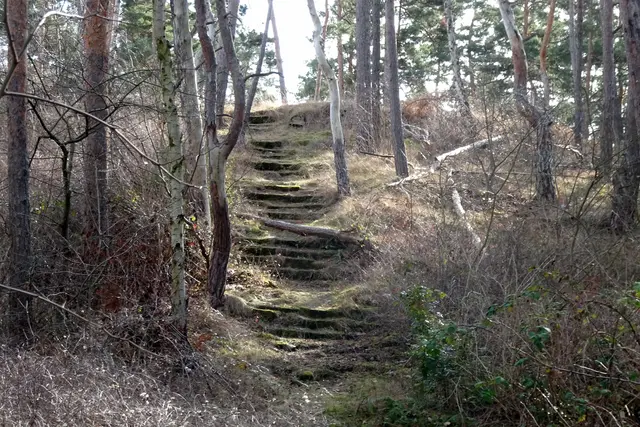 alte Treppe am Schleifstein ( Forsthaus am Rennplatz) . Sie führte hinauf zu einem Aussichtspunkt für die Pferderennen im Eselstall