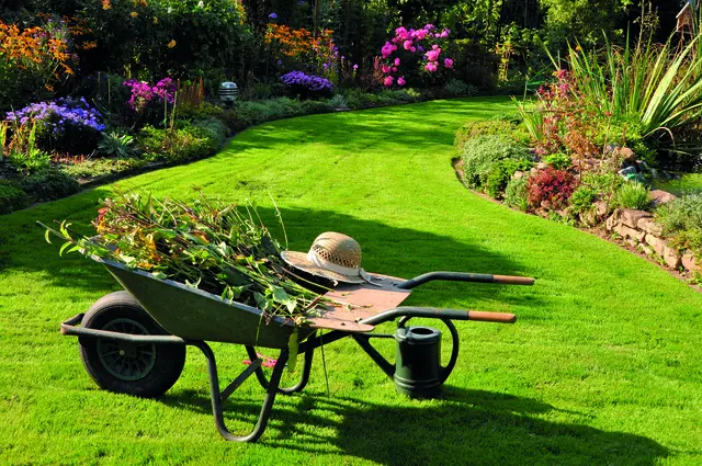 Nun ist der richtige Zeitpunkt für den Rückschnitt.  | Foto: Andrea/stock.adobe.com/akz-o