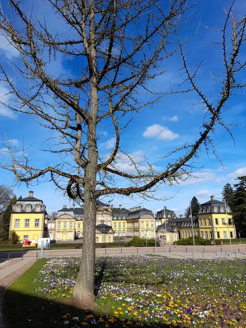 Frühling am Schloss Bad Arolsen