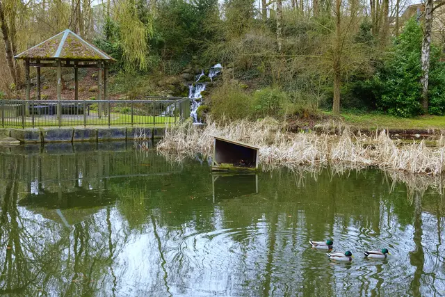 Ideal für einen kleinen Spaziergang mit der Kamera: der Neusässer Schmutterpark mit dem Pavillon, dem Wasserfall und dem Entenhaus, das wieder bewohnt ist.