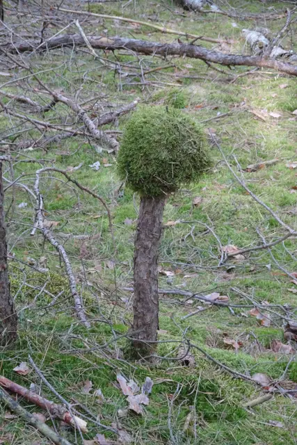 Was ist das?