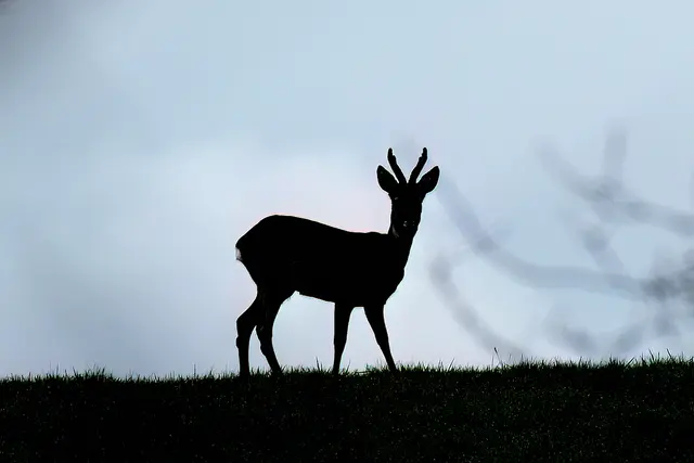 Foto: Copyright Andreas Schäfer