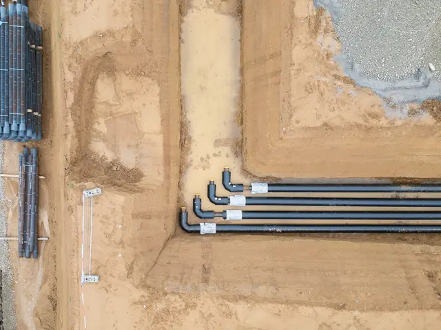 Foto: ThomBal - stock.adobe.com