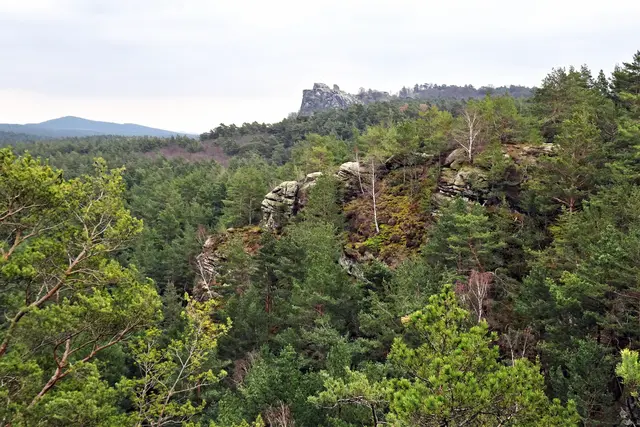 Blick vom Großen Papenberg auf den Regenstein