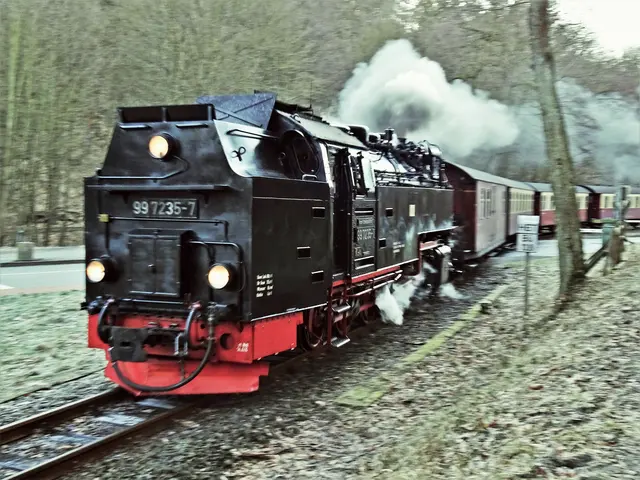 Selketalbahn am Bahnübergang Alexisbad