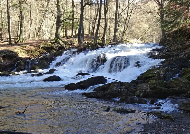 der künstlich angelegte Selkefall im Selketal