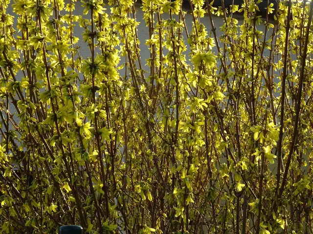 Immer mehr zeigt sich der Frühling mit seinen vielen bunten Farben