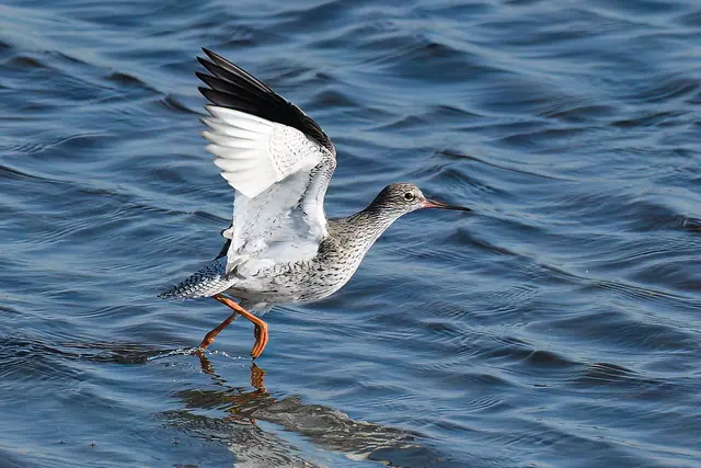 Foto: Copyright Andreas Schäfer