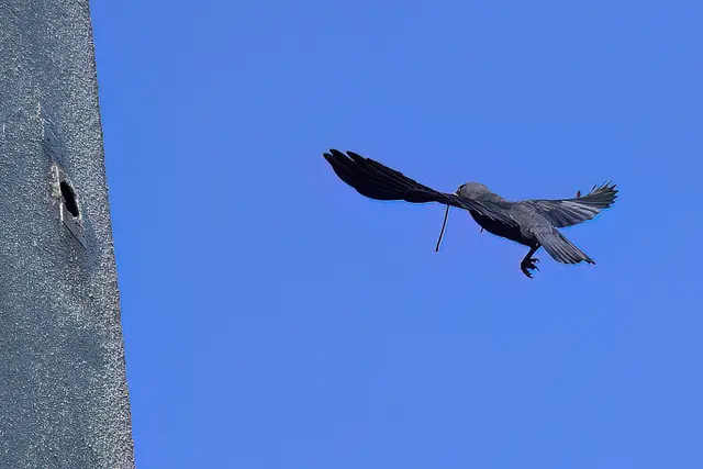 Foto: Copyright Andreas Schäfer