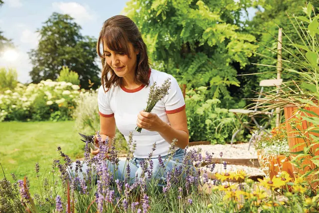 Damit die Freude an Blumen, Büschen und Gemüse auch die ganze Saison über anhält, muss mit der richtigen Pflanzerde von Anfang an eine gute Grundlage geschaffen werden.  | Foto: Compo/akz-o