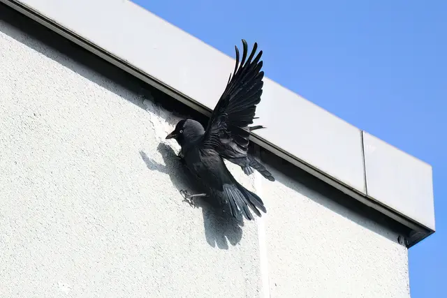 Foto: Copyright Andreas Schäfer