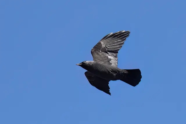 Foto: Copyright Andreas Schäfer