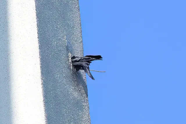 Foto: Copyright Andreas Schäfer