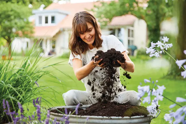Eine gute Pflanzerde versorgt die Pflanzen in den ersten Wochen mit Nährstoffen und erleichtert so den Start nach dem Einpflanzen.  | Foto: Compo/akz-o