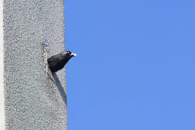 Foto: Copyright Andreas Schäfer