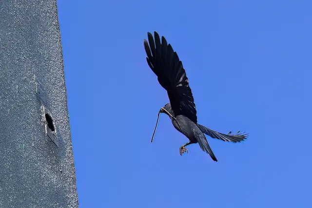 Foto: Copyright Andreas Schäfer