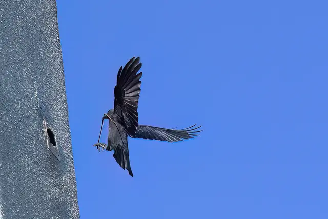 Foto: Copyright Andreas Schäfer