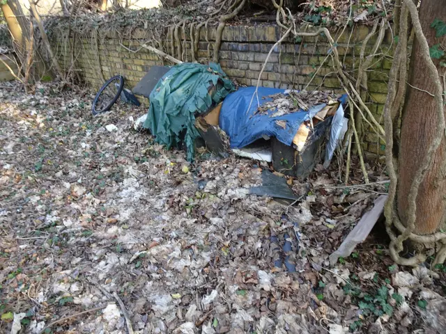Hier hat man sich einmal um Streunerkatzen gekümmert