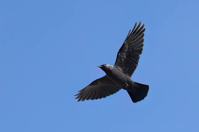 Foto: Copyright Andreas Schäfer