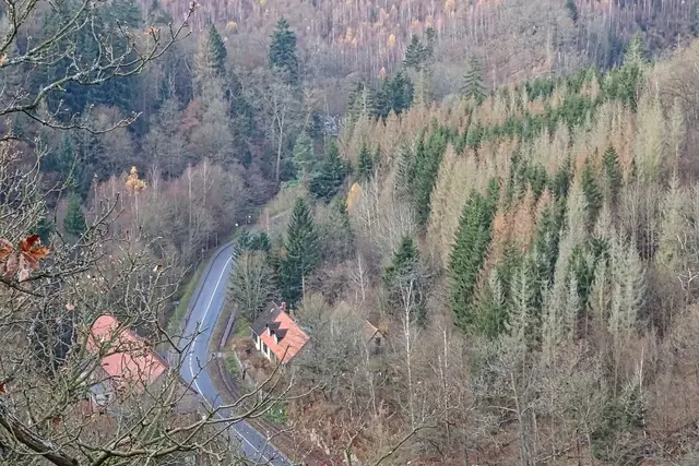Blick von der Freundschaftsklippe auf den Stahlhammer (links) ins Selketal