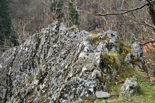 die Mägdetrappe