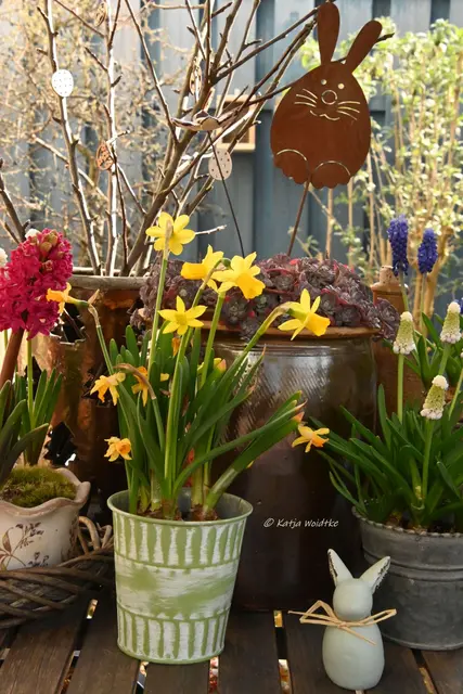 Garten im Jahreslauf (Foto: Katja Woidtke)

Frühlingserwachen im März - Osterdeko | Foto: Katja Woidtke
