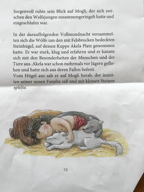 Auszug aus dem "Dschungelbuch"