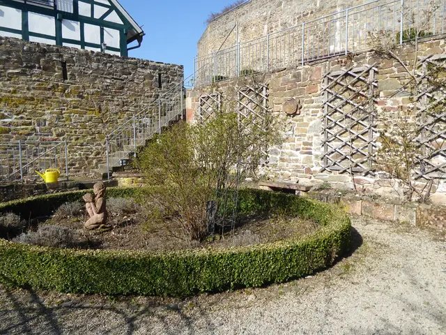 Rosengarten 2026-12, 22.03.2026.