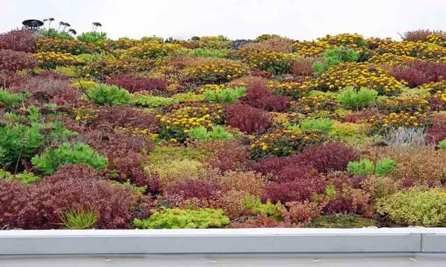 Foto: Heiner Witthake - stock.adobe.com