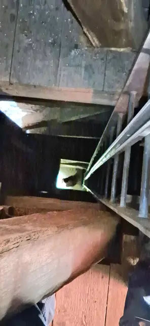 Blick auf die Feuerleiter von der Glockenstube nach unten