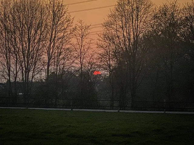 Mystische Waldmomente - Abends im Wald Part I | Foto: Christoph Niersmann