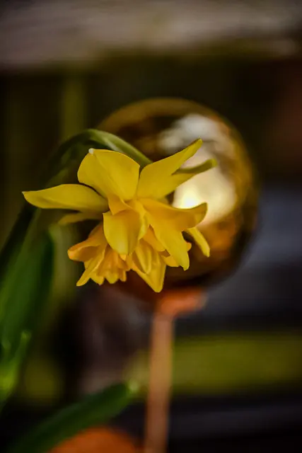 #SpringIsHere  | Foto: Chr. Niersmann 
