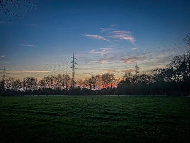 Mystische Waldmomente - Abends im Wald Part I | Foto: Christoph Niersmann