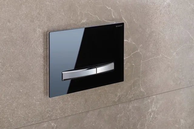 Mit hochwertigen Oberflächen und Designs werten moderne WC-Betätigungsplatten jedes Bad auf.
 | Foto: DJD/Geberit