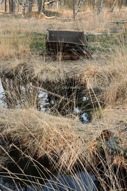 Faszination Moor (Foto: Katja Woidtke)

Der Ruf der blauen Moorfrösche - Impressionen vom Resser Moorerlebnispfad | Foto: Katja Woidtke